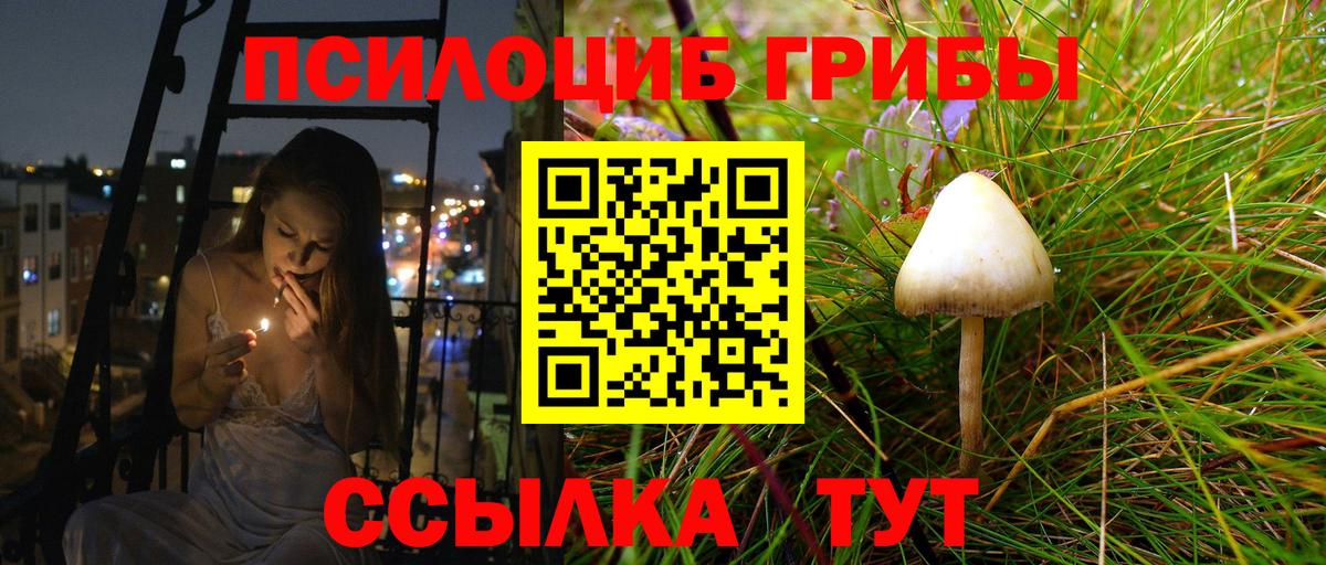 Псилоцибиновые грибы мухоморы  Галлюциногенные грибы MAGIC MUSHROOMS  Россошь  Вход с VPN 