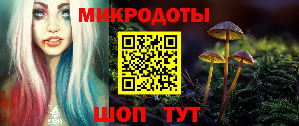 Псилоцибиновые грибы Psilocybine cubensis Россошь